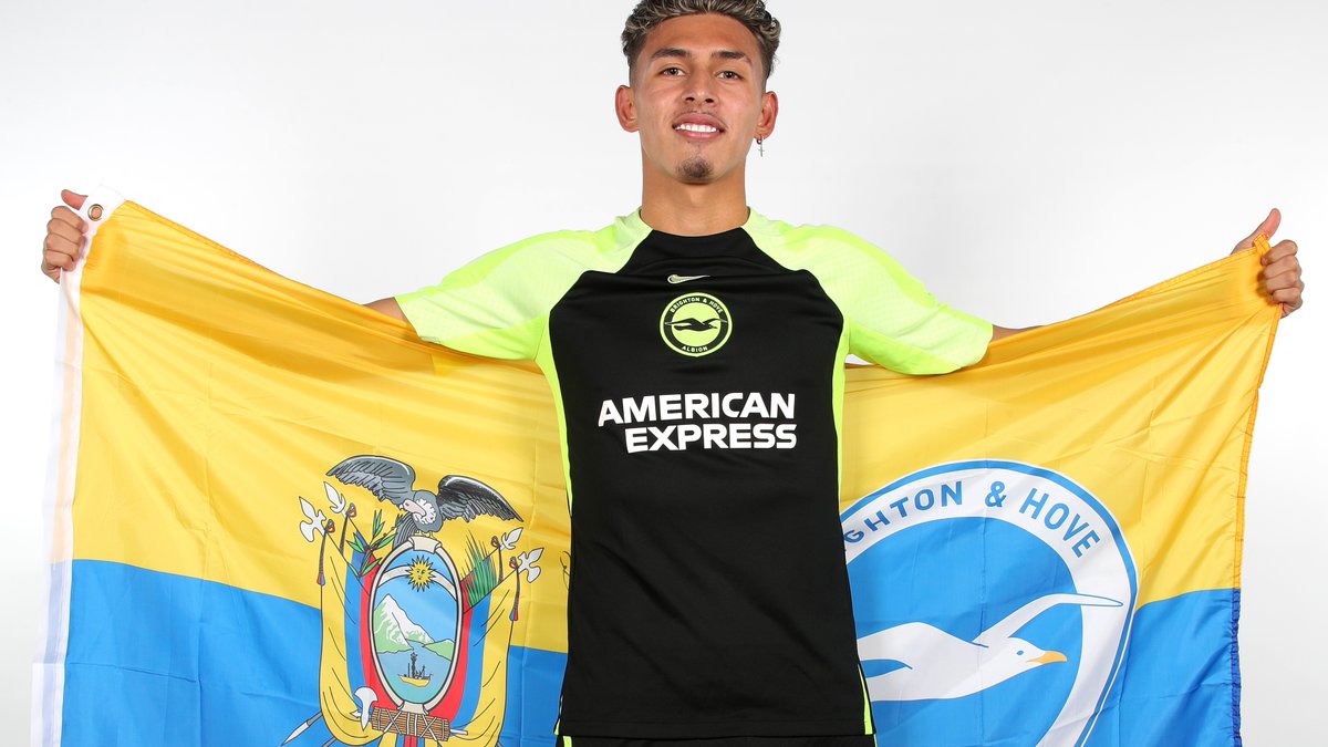 Brighton & Hove Albion tweet media