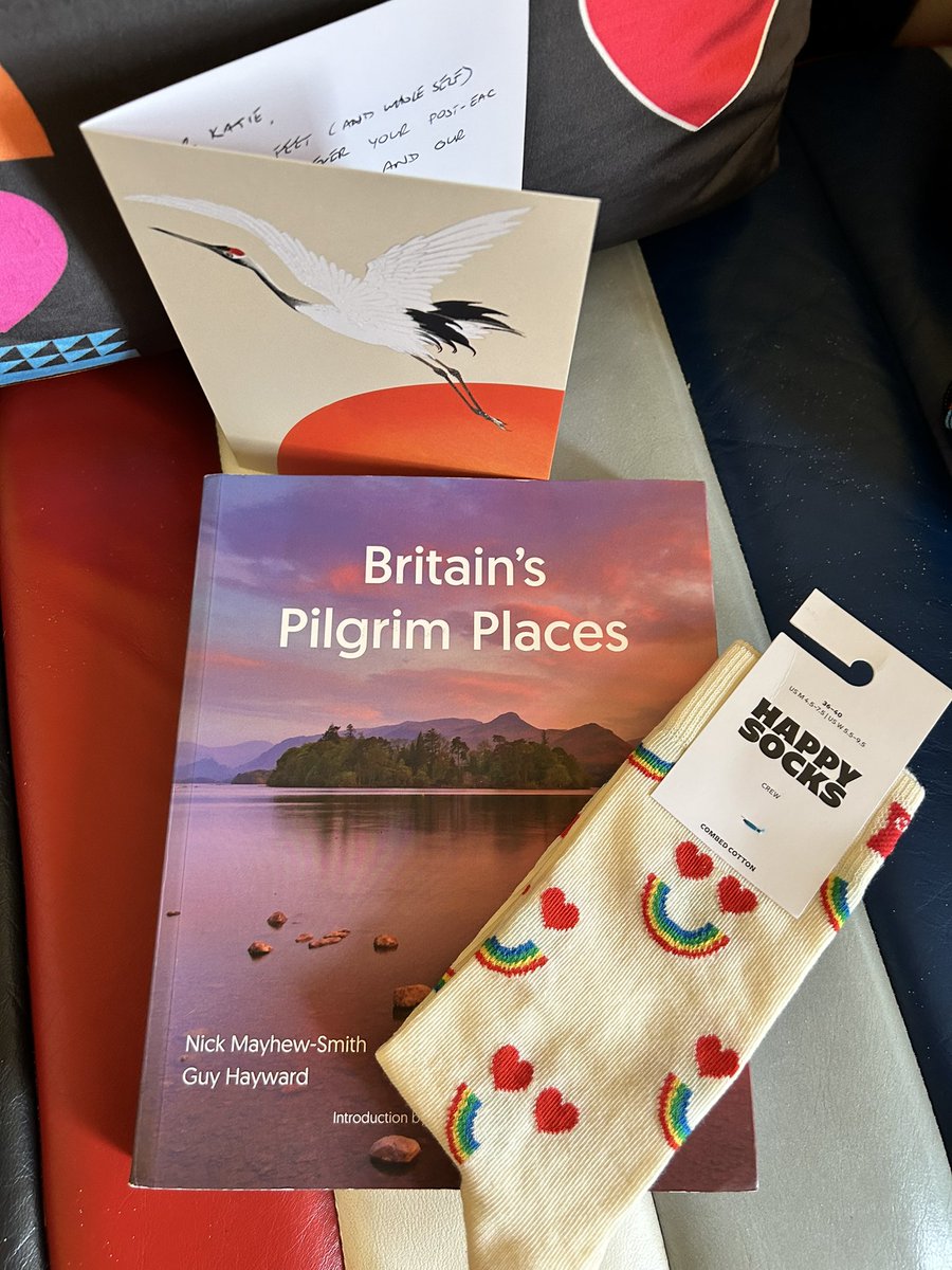 Katie Kelly tweet media