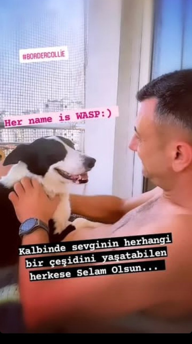 Kalbinde Sevginin herhangi bir çeşidini yaşatabilen herkese Selam olsun...
#bordercolie #hayvanlarıkoruyalım #hayvansevgisi #sevgi #doğayısev #insanısev #dog #world