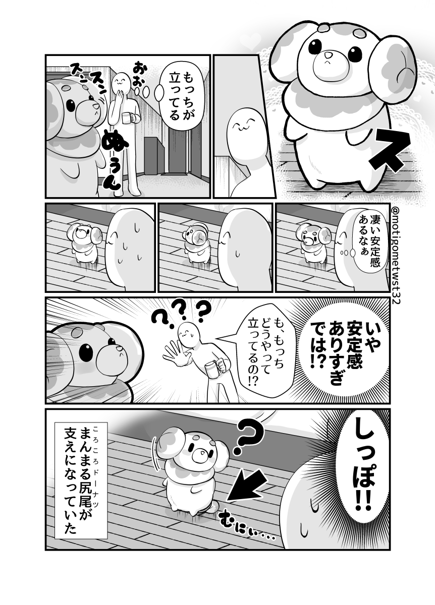 驚異の安定感 #ポケモンと生活