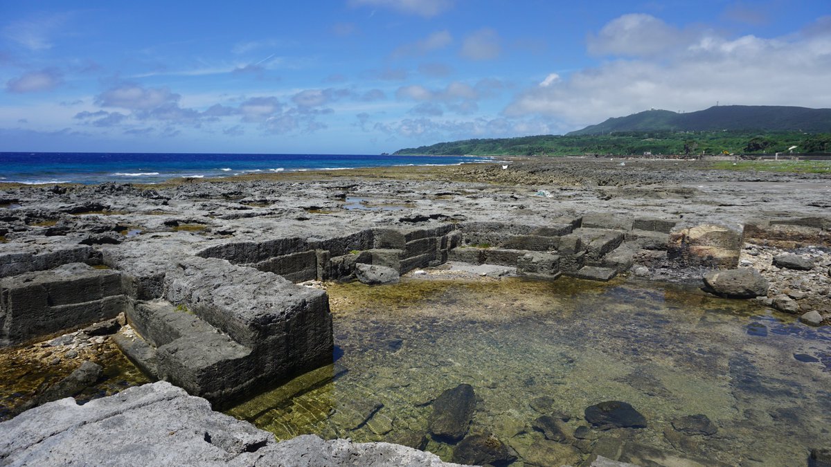 FreediverHD tweet media