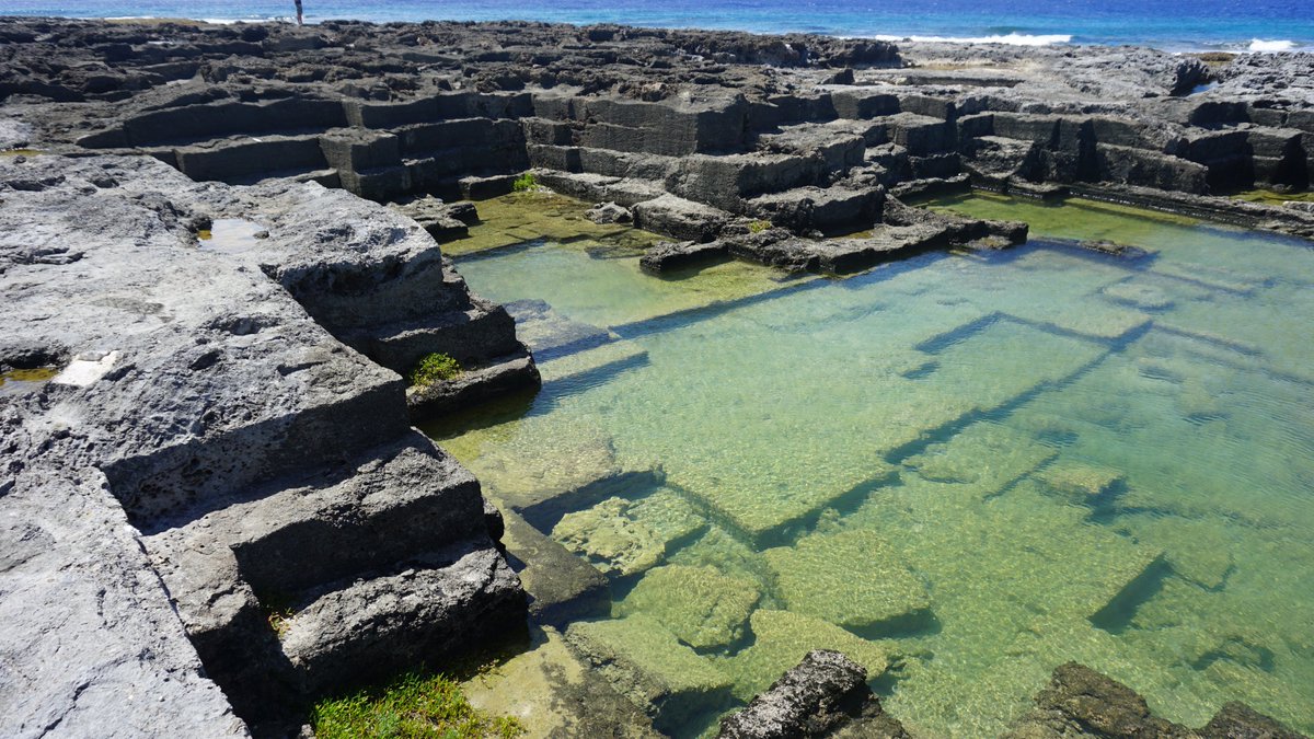 FreediverHD tweet media