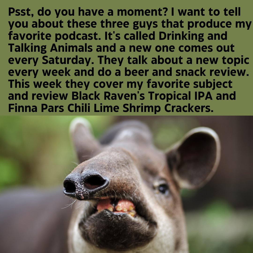 Drinking and Talking Animals tweet media