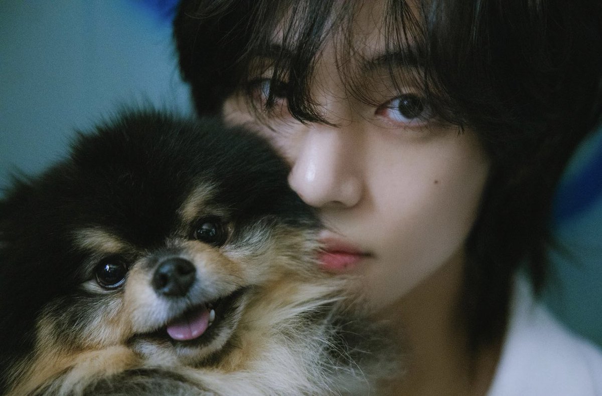 yoongithjk's tweet photo. La estrella más brillante eres tú 💙 https://t.co/WtTV1TrMHT