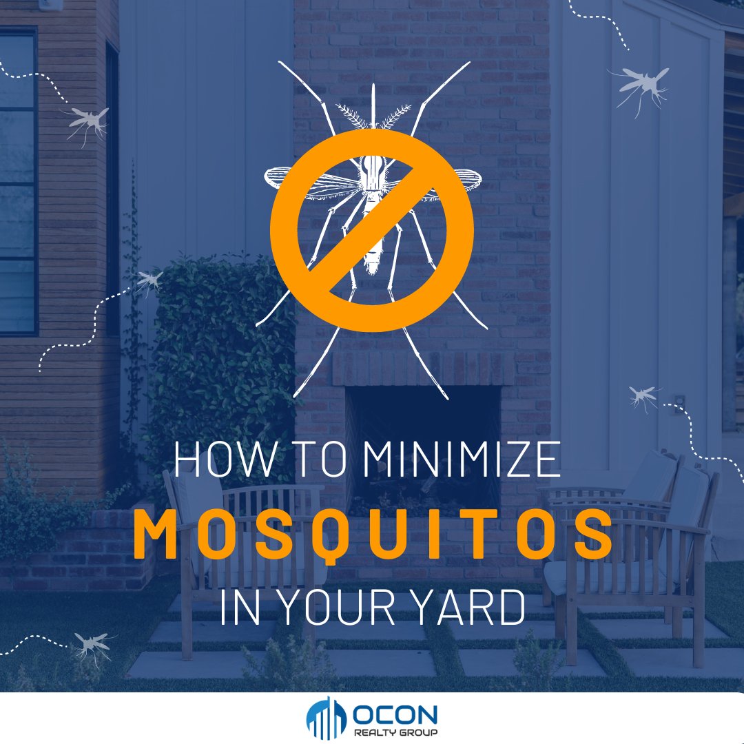 OconRealtyGroup's tweet photo. Warm weather means pools, vacations, and… mosquitos. 🦟😱

To help, we’ve rounded up some eco-friendly ways to minimize mosquitos in your yard so you can maximize your time outside.
Check here⬇️
https://t.co/7raJq7fCCN https://t.co/WJWWunEoIV