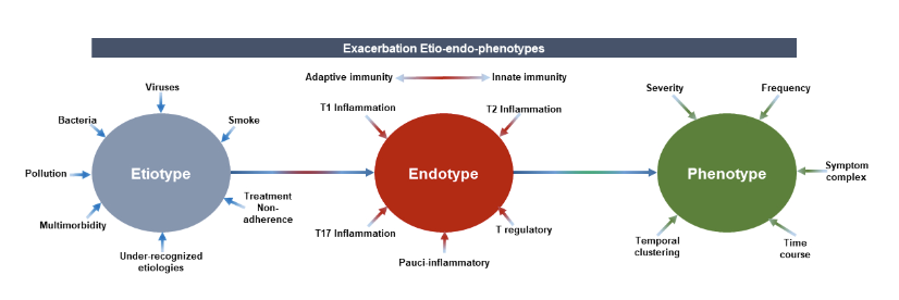 Our SOTA Review of Etiotypes, Endotypes, and Phenotypes of exacerbations of #COPD is now on @ATSBlueEditor We need to do more to characterize these events. atsjournals.org/doi/abs/10.116… @donsin4 @Stef_A_nie_C &Others. @ATSCPAssembly @UABPulmonary @uabmedicine