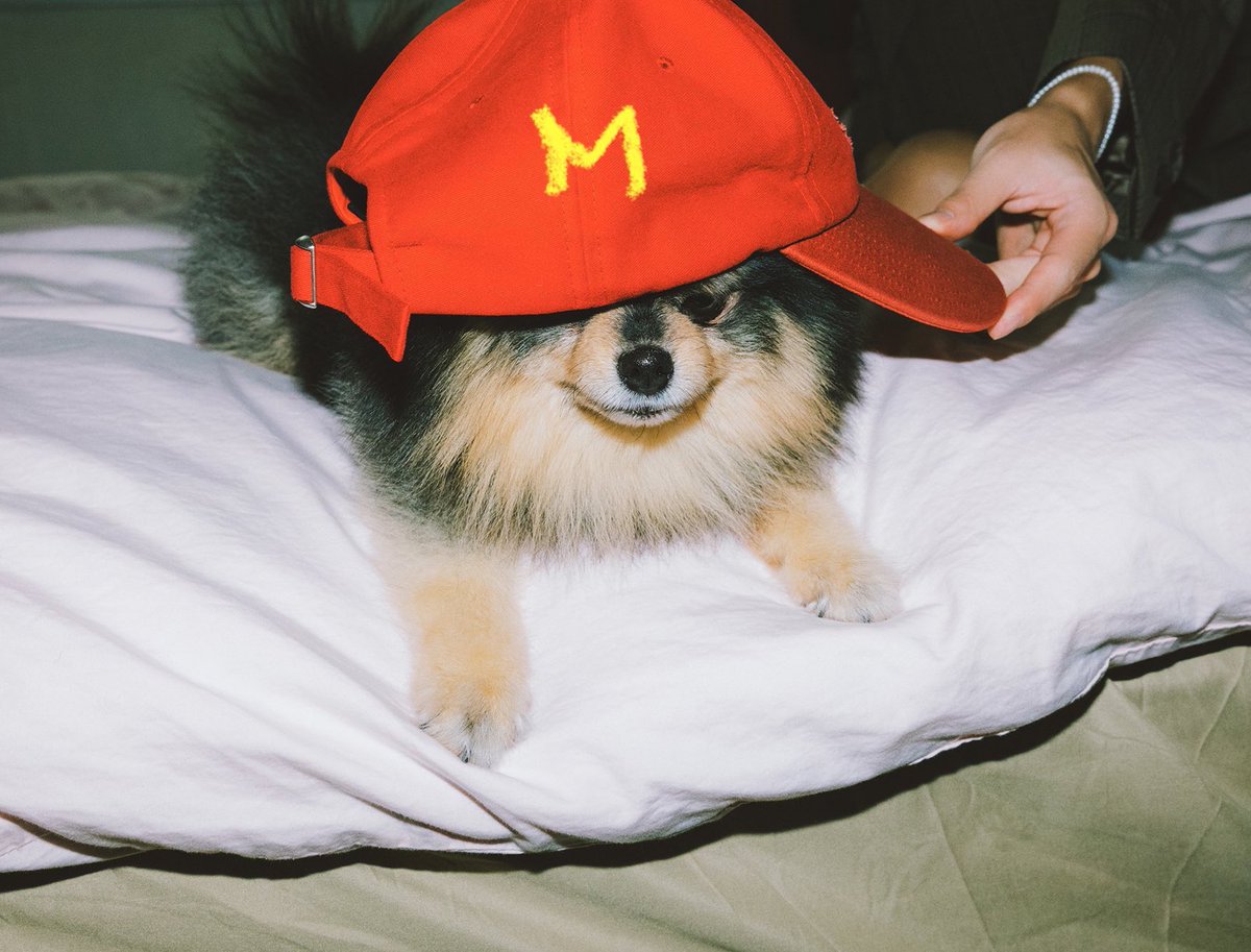 아녀하세요 손님 맥도날드이미다
네 햄버거 100개 금방 준비해드리게습니다

2시간후

언제나오냐고요?
제 주인이 햄버거 조아해서 다 머거은데요~
나나나나나 나 나나나나 나나~