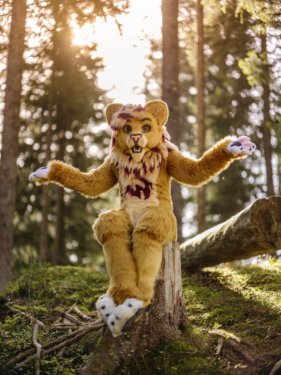 ignituswillion's tweet photo. Let's celebrate #WorldLionDay2023 with much much lionpower by @NeonFurStudios and @TheKarelia !❤️ Both perfectly Photographen by @CaptainChaotika! :3 #lionsrule https://t.co/irJEfbh6ID