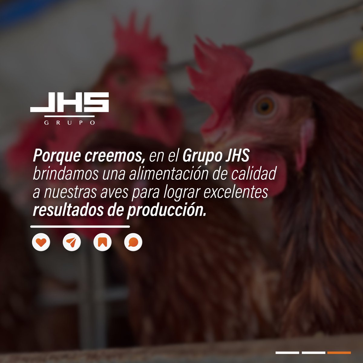 jhsagro's tweet photo. La alimentación de las #GallinasPonedoras y los #PollosDeEngorde son totalmente diferentes para poder lograr nuestras metas.
Es por eso que te invitamos a ver las siguientes imágenes, e informarte cómo es la alimentación de cada #ave dentro del #GrupoJHS https://t.co/CLCBSHyexn