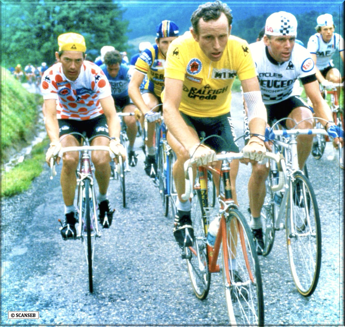 team_zoetemelk's tweet photo. Le podium du Tour 80
Joop Zoetemelk, Raymond Martin et Hennie Kuiper
#TDF1980 #TDF80 @LeTour
#JoopZOETEMELK 🇳🇱🔥 https://t.co/64AFacDANr