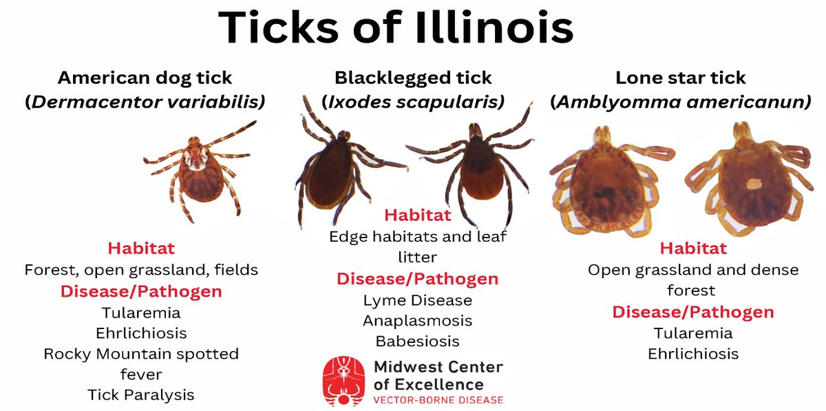 ITickUIUC's tweet photo. Coming to the #illinoisstatefair this weekend? Be sure to drop by the @vetmedIllinois booth to talk to Holly about protecting yourself and your pets from #ticks and #mosquitoes https://t.co/NV6Jg3sSAk