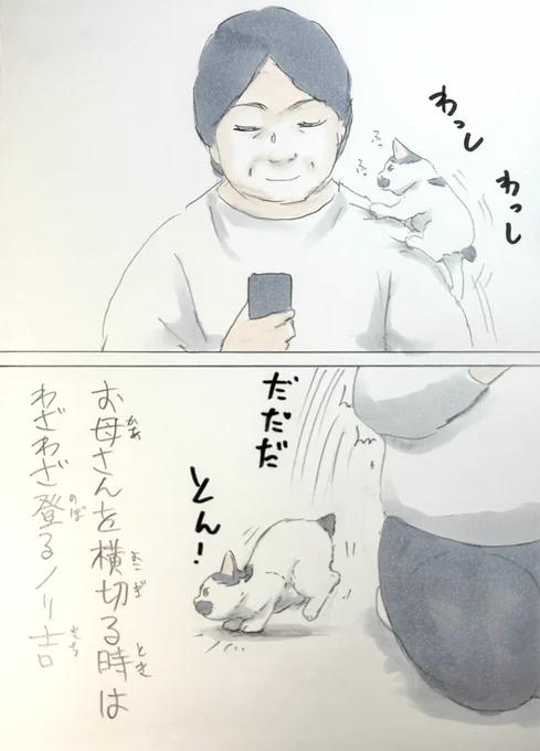 まいにちノリ吉 