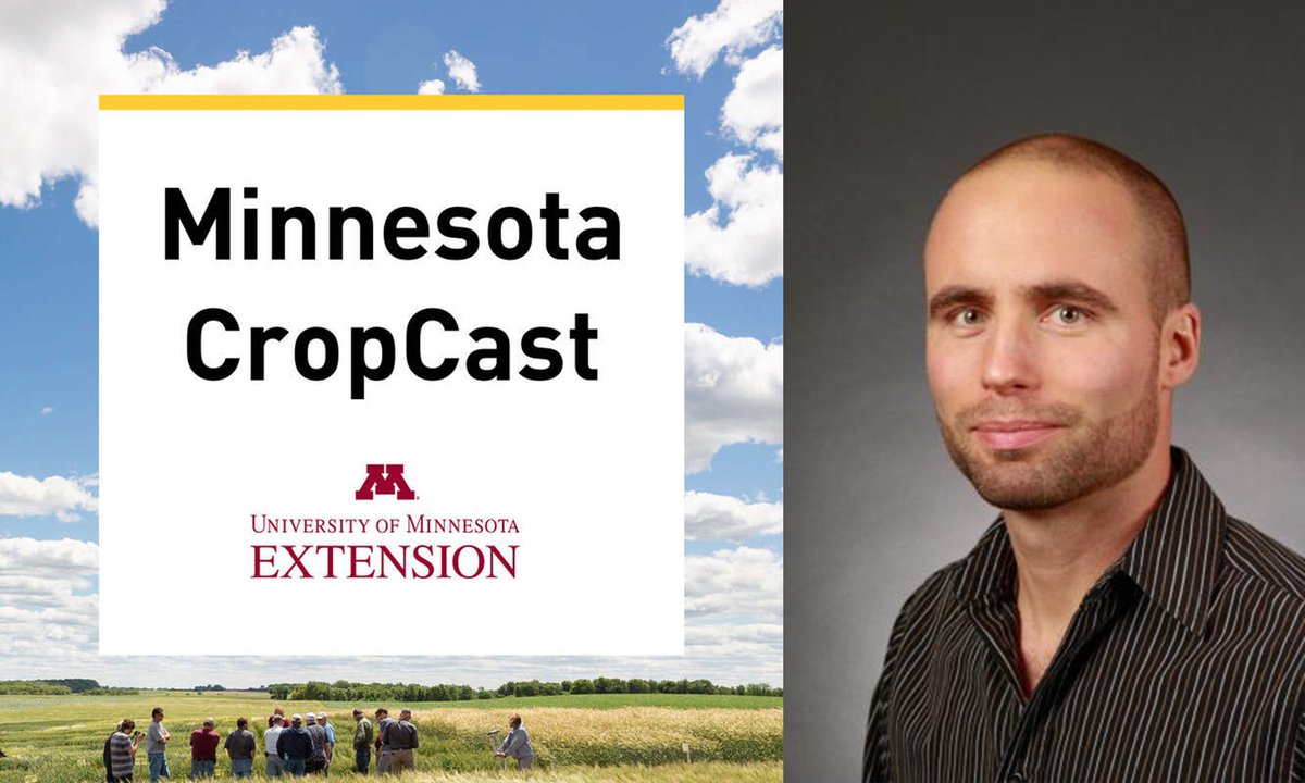 Dr. Bob Koch was the featured guest on the Minnesota CropCast podcast- listen to the full episode, An Update from the MN Extension Soybean Entomology Program: Dr Robert Koch is improving insect management for Minnesota’s soybean growers - z.umn.edu/8t5k