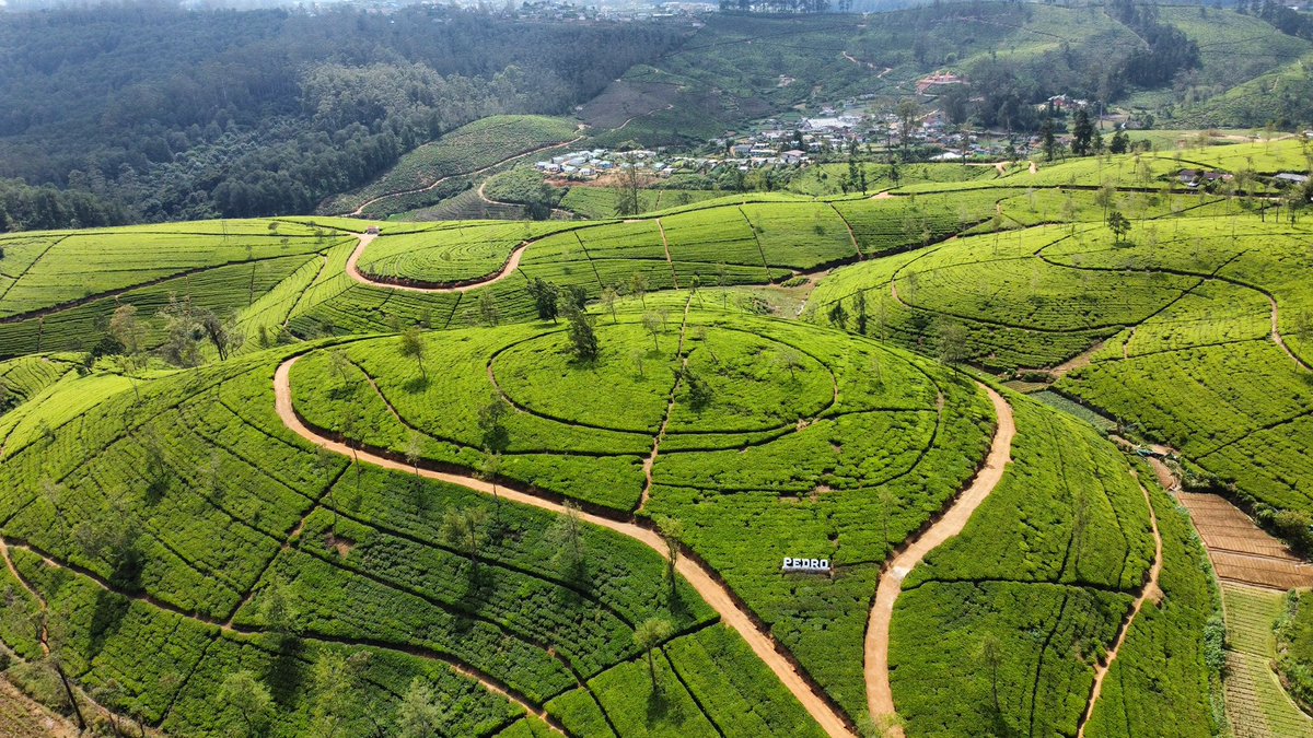 TheBarmyArmy's tweet photo. Sri Lanka has some of the best train routes in the world that you must visit😍

You can get there in under 12 hours direct ✈️

@flysrilankan #ad https://t.co/gHJR01Oll9
