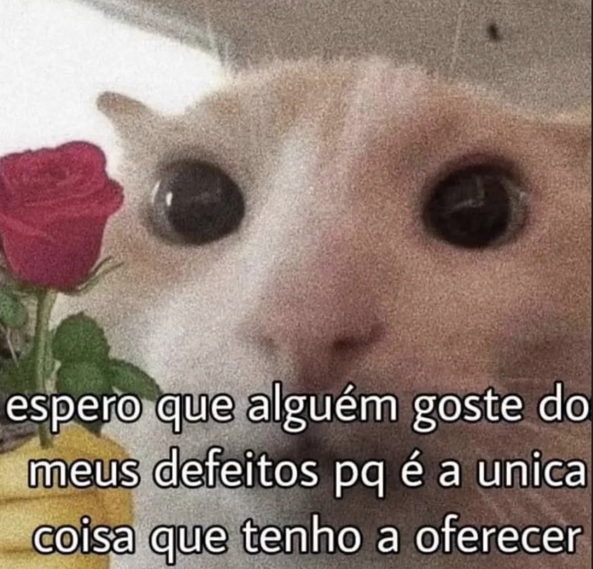 juleo (@ounojo) on Twitter photo 