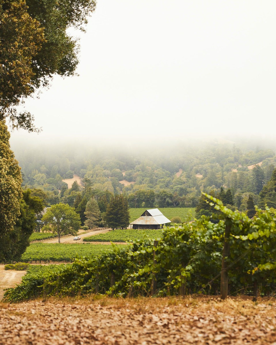 Scharffenberger Cellars tweet media