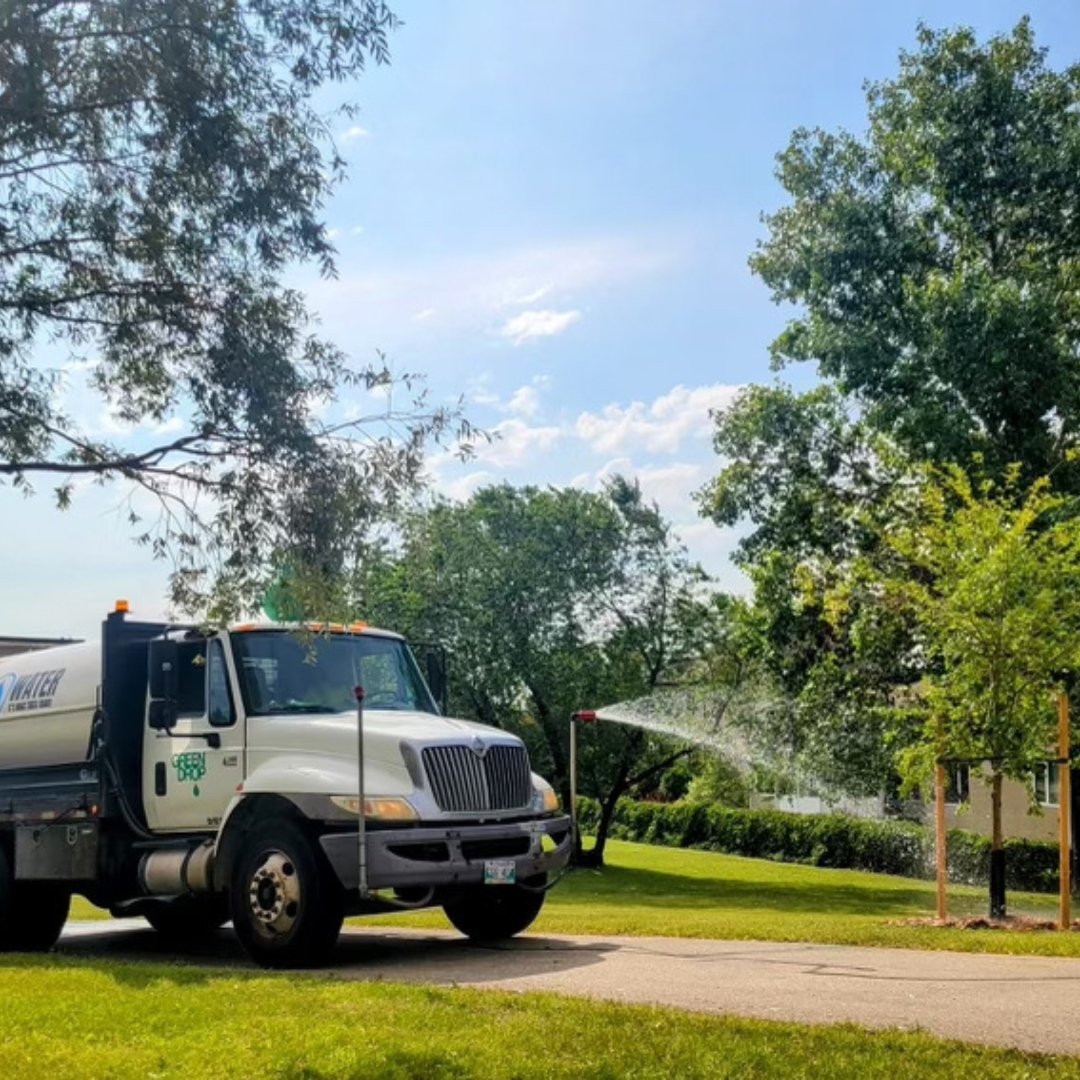 GreenDropTrees's tweet image. Newly planted trees need a sufficient amount of water to thrive and grow! Luckily the Green Drop Watering Truck has A LOT to go around! 💦 🌳 

#ItsBeautifulOutside #GreenDropTreeCare #TreeWatering #Trees #NewlyPlantedTrees #TreeCareCommunity #TeamGreen #TeamTree #TreeCare