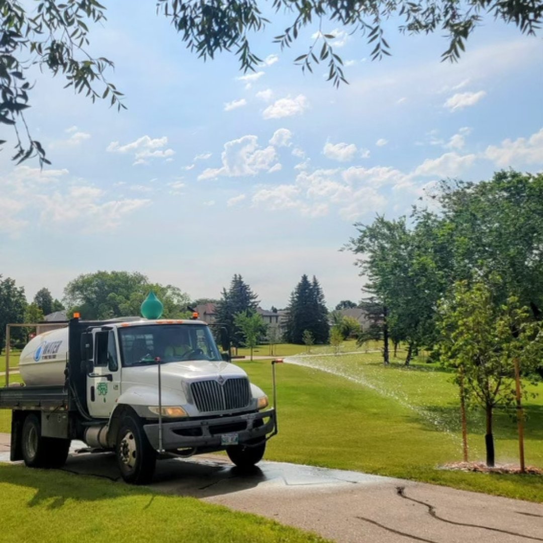 GreenDropTrees's tweet image. Newly planted trees need a sufficient amount of water to thrive and grow! Luckily the Green Drop Watering Truck has A LOT to go around! 💦 🌳 

#ItsBeautifulOutside #GreenDropTreeCare #TreeWatering #Trees #NewlyPlantedTrees #TreeCareCommunity #TeamGreen #TeamTree #TreeCare