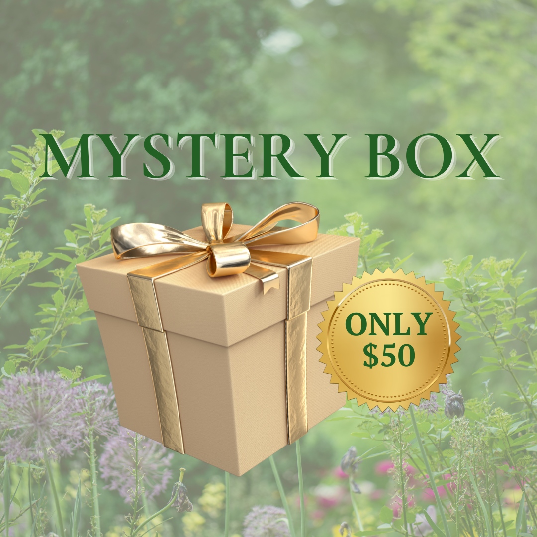 CSCVVSB's tweet image. Mystery Boxes are a fun new game we're adding to this year's Garden Party! Simply buy as many Mystery Box tickets as you like and then at the event, you'll be given tickets to drop into the box or boxes you most wish to win!
Get your tickets today: bit.ly/45bfp5z