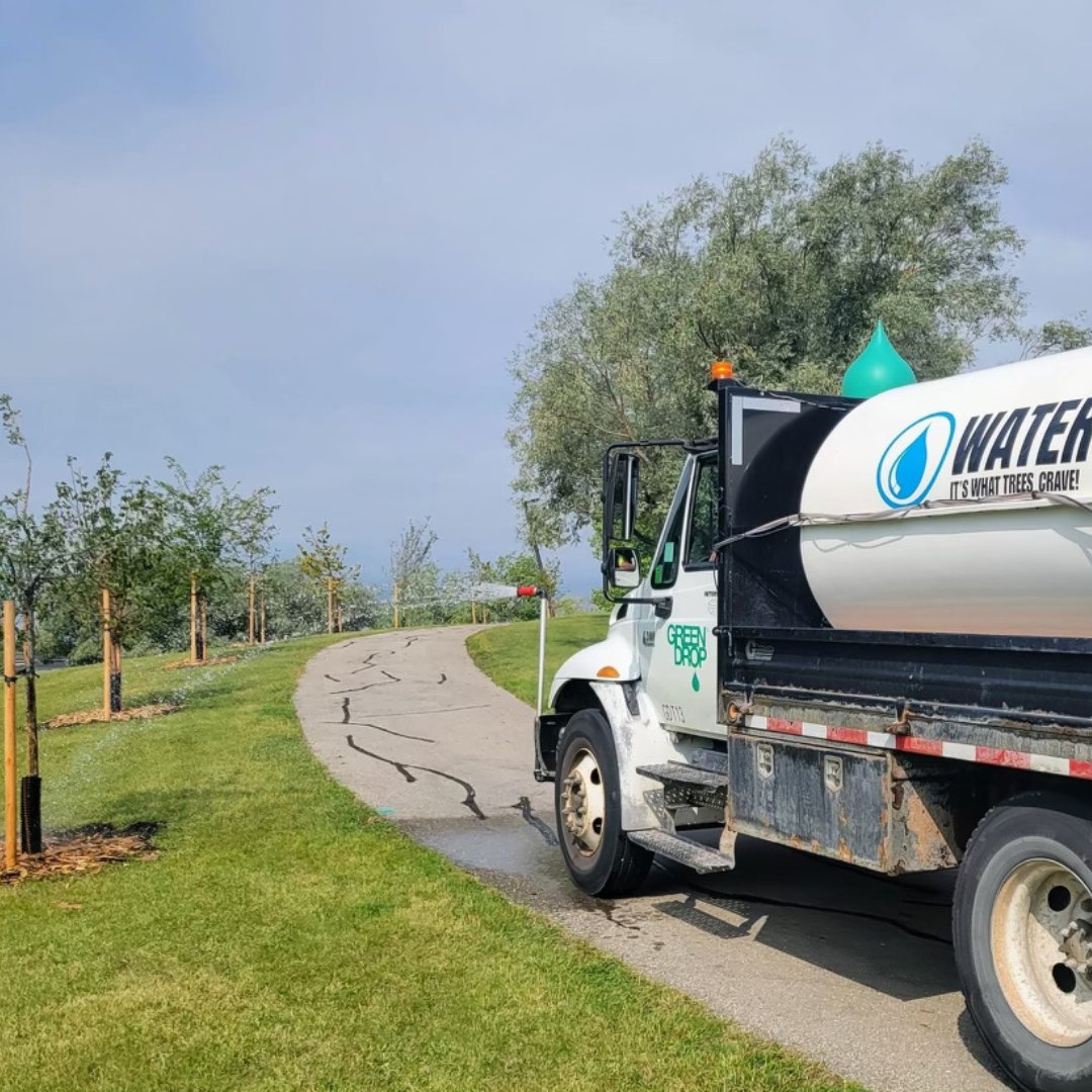 GreenDropTrees's tweet image. Newly planted trees need a sufficient amount of water to thrive and grow! Luckily the Green Drop Watering Truck has A LOT to go around! 💦 🌳 

#ItsBeautifulOutside #GreenDropTreeCare #TreeWatering #Trees #NewlyPlantedTrees #TreeCareCommunity #TeamGreen #TeamTree #TreeCare