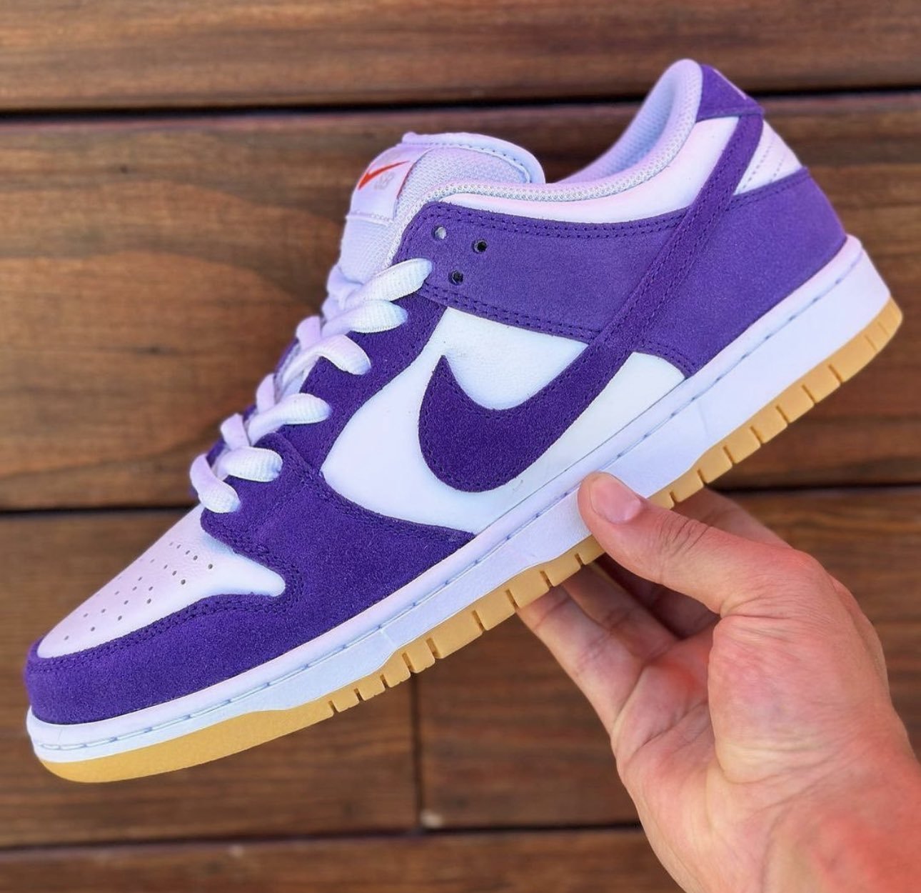 Purple lobster hotsell sb raffle