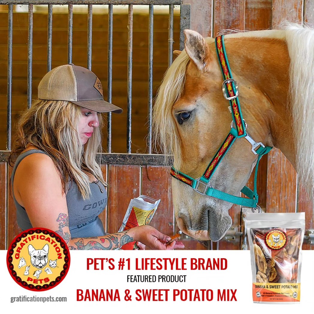 Gratificat_pets's tweet photo. Shandy and his mama Cat are both loving our Banana &amp; Sweet Potato treats 😋 @cassidy.and.co.horses 

Owner: @yeehaw.gothic 

📸: @incubobella_photography_ 

#gratificationpets #horsesofinstagram #humangrade #lifestyle #treat https://t.co/HVuKwr9TlX