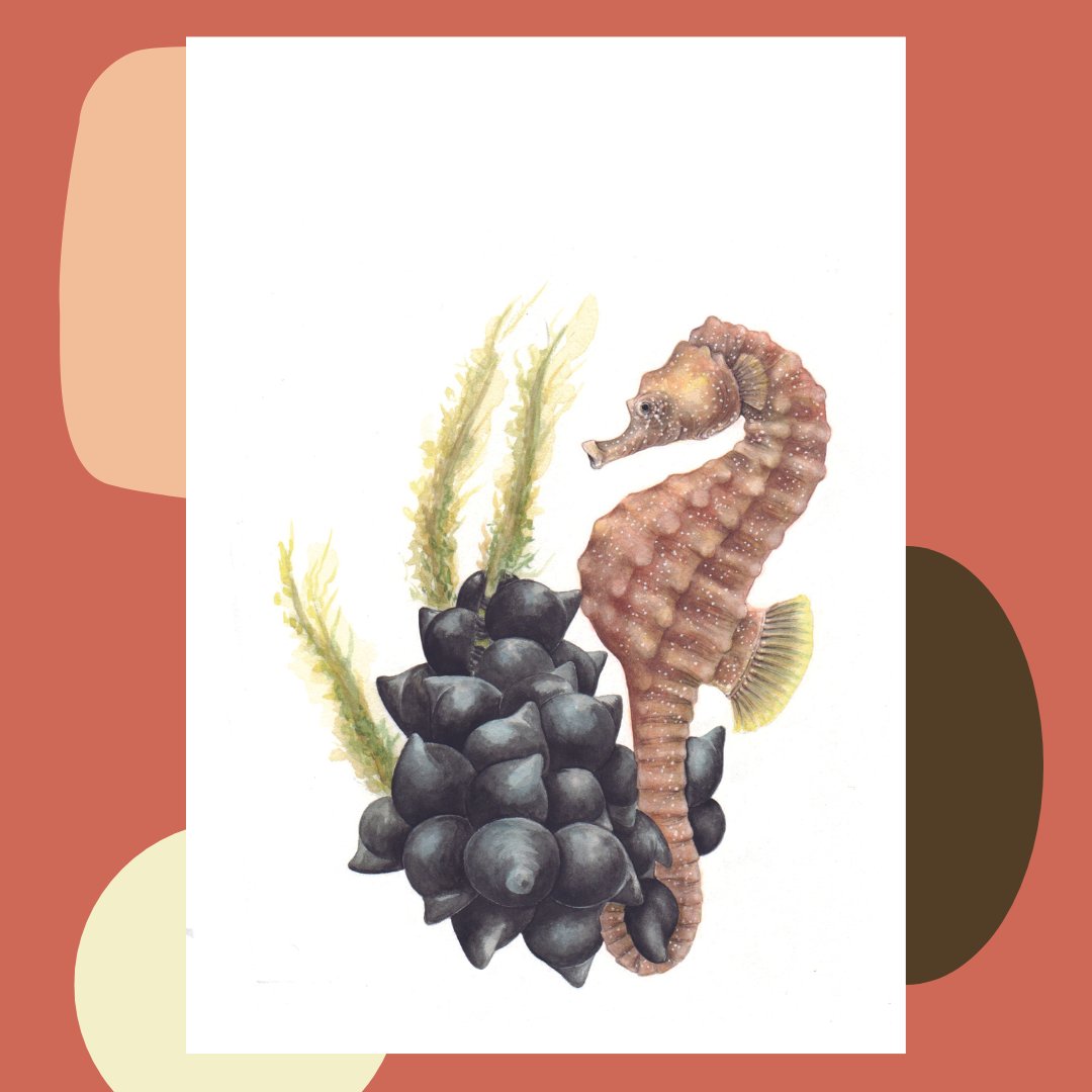 En estos días  calurosos nos podemos refrescar con esta magnífica ilustración de una de las ponentes confirmadas para las jornadas, <a href="/ClaraCervino/">Clara Cerviño</a> 

Recordad que las inscripciones ya están abiertas, tanto en la modalidad presencial como online. ¡Os esperamos en noviembre!