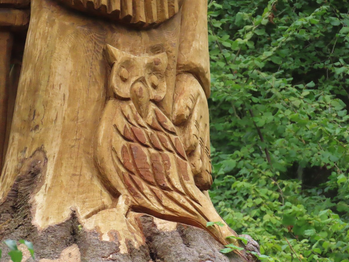 Harry Perton tweet media