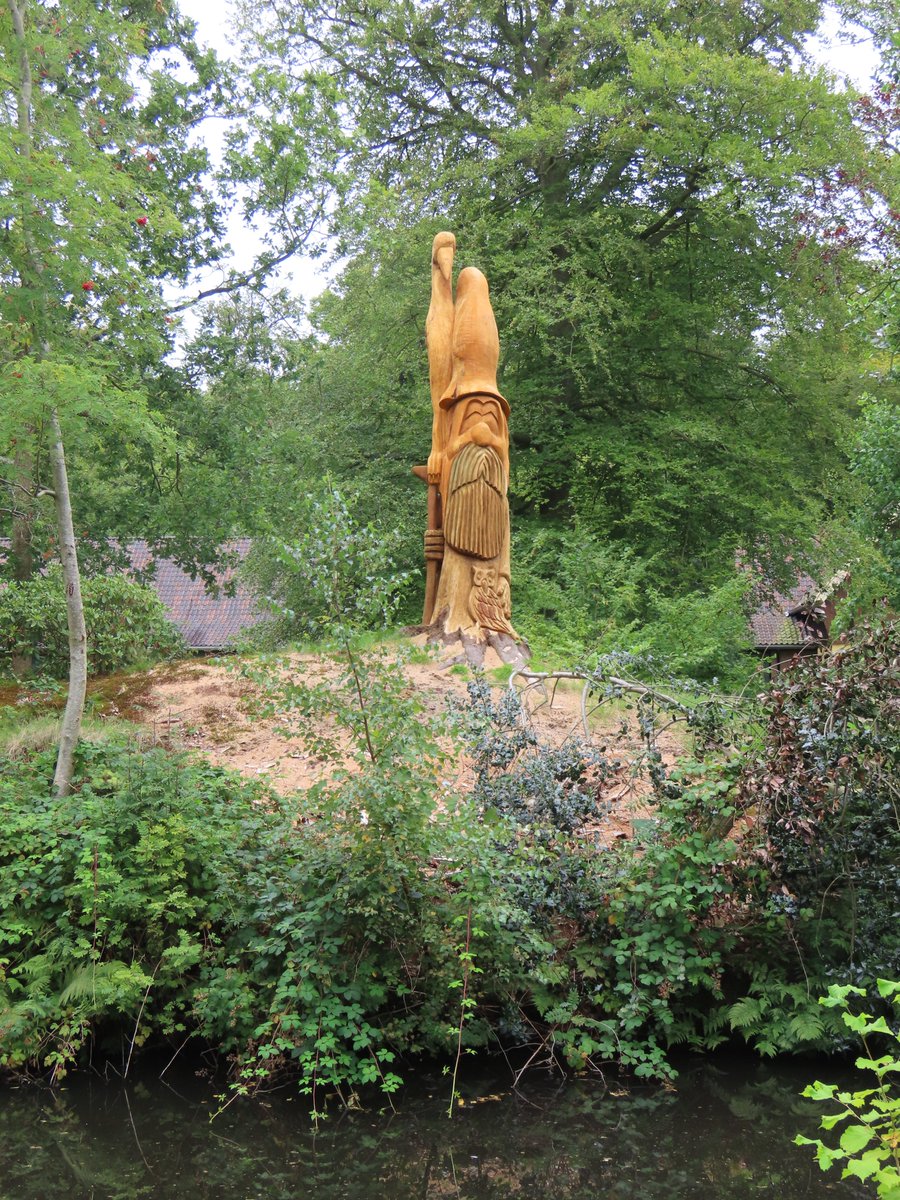 Harry Perton tweet media