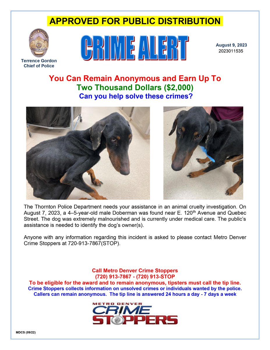 ThorntonPolice's tweet photo. *Read &amp; Retweet*

Thornton PD &amp; @CrimeStoppersCO are looking for your help in finding this dog's owner(s). Contact Crime Stoppers directly with any information- (720) 913-7867 (STOP). https://t.co/QsYAnaXBn2