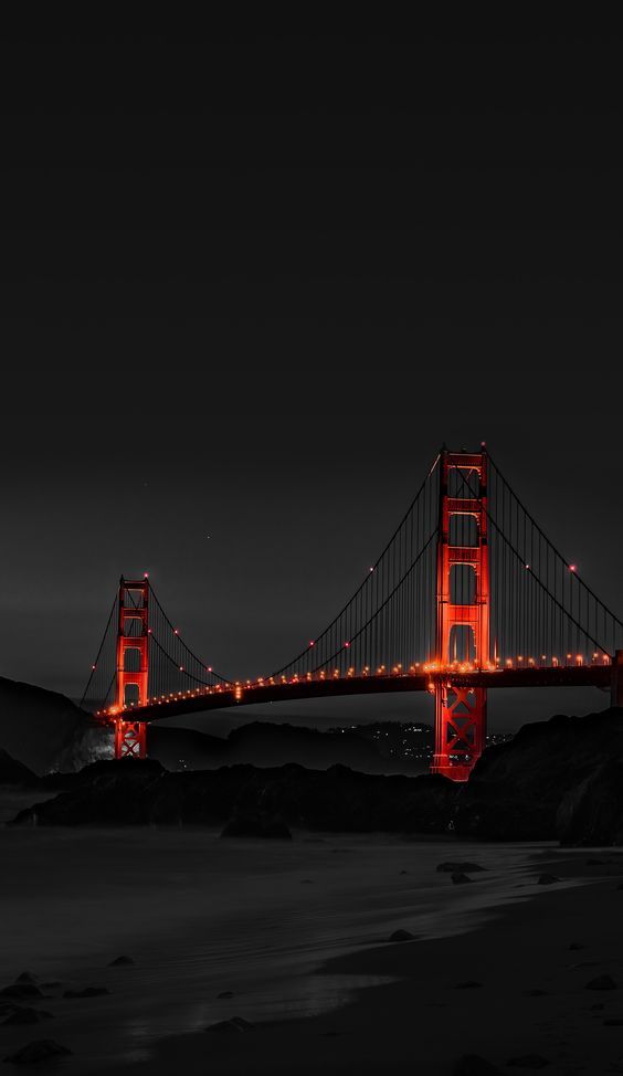 Jutta Streicher 🕊️ tweet media