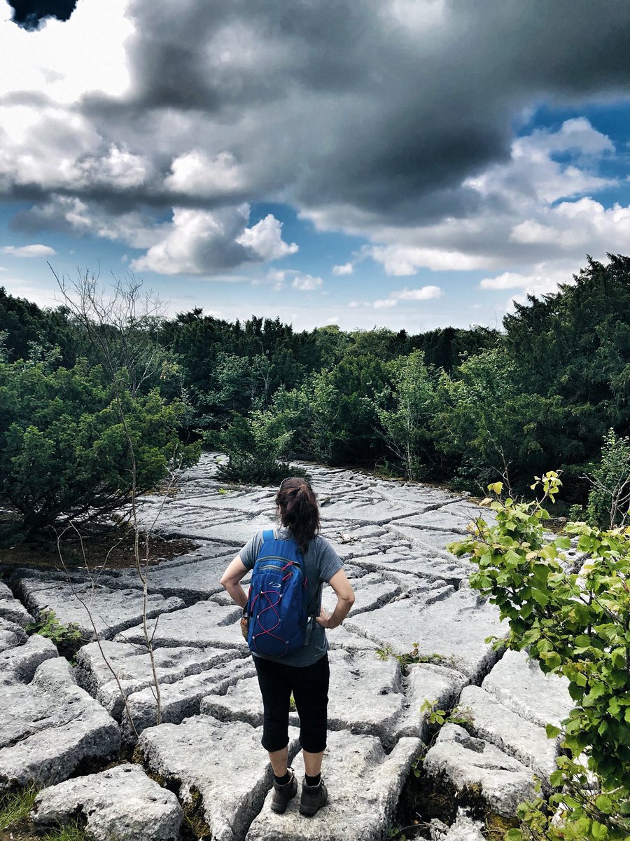 matt_cork's tweet photo. On this day back in 2022… 

Hiking around Arnside &amp; Silverdale 🥾🥾

Forest, fields, park, coast &amp; more… 🌳 🌊🌲 🐮 

#hiking #cumbria #arnside #silverdale #coast #fairysteps #milnthorpe #dallamtower https://t.co/lHHEYZx6XE