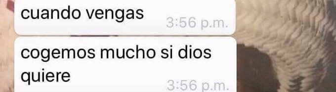 Ameeeen🙏🏼 https://t.co/M6Ynt38s7i<a href="/tag/nuevafotodeperfil"class="tags"><span>#nuevafotodeperfil</span></a>