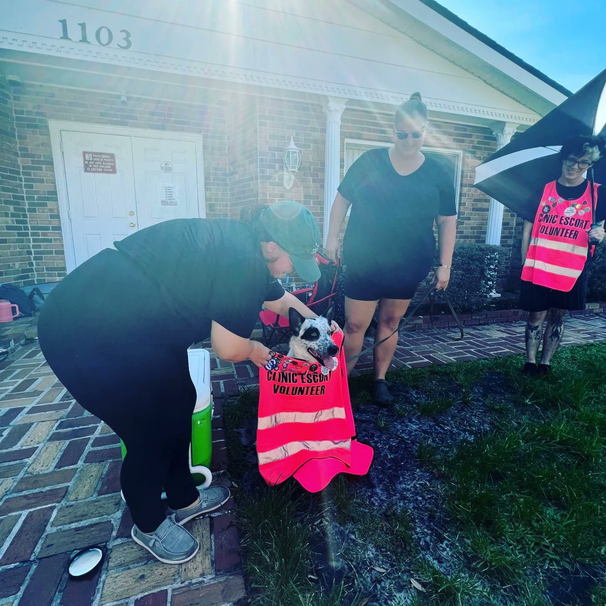 SWANofCentralFL's tweet photo. We've done it. We've recruited the cutest possible clinic escort volunteer. Other groups have tried, but we've succeeded. @dog_rates check this one out. ππ¦’πΎ #swanofcentralfl #prochoice #orlando #swanoforlando #dogsforchoice https://t.co/4cZaV7GcwL