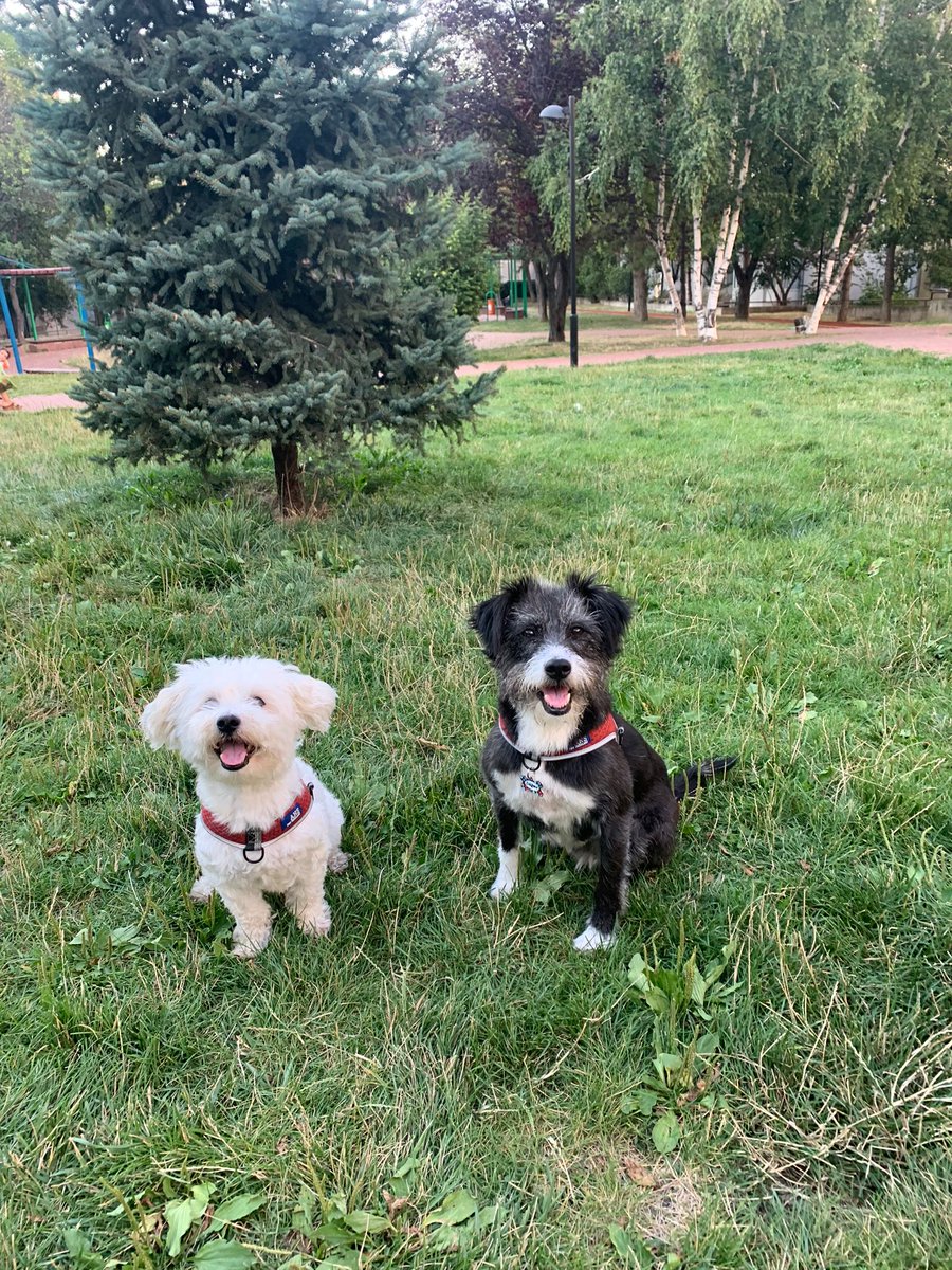 Aleskle parkta date <a href="/casperandalex/">Alex ve Casper</a>