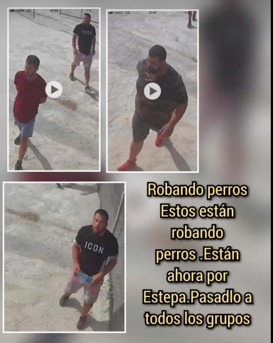 up_person's tweet image. AVISAN👇 👇👇que estos susodichos 😠😠😠 están #Robando #Perros
🆘🆘🆘🆘⚠️⚠️⚠️⚠️
Dicen que ahora están por #Estepona #Málaga