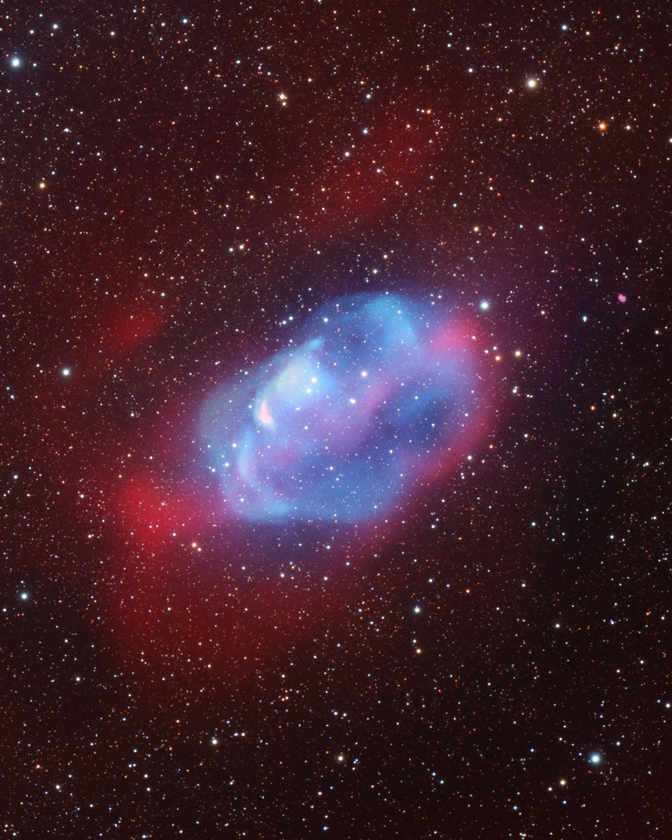 Bray Falls tweet media