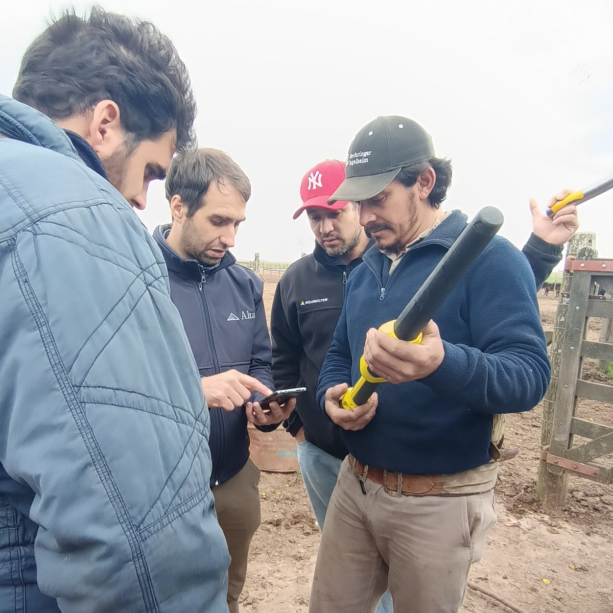 FaroVerde_Agro's tweet photo. Para poder aprovechar las caravanas electrónicas con todo su potencial, invitamos a Matías Machain de Ciale Alta, que nos ayudó a resolver algunas dudas 🙌 #capacitacion #caravanaselectronicas #ganaderia #produccionganadera https://t.co/wDx3IAseQV