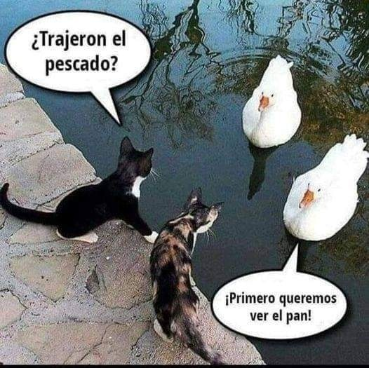 ChorizoCriticon's tweet photo. Dando y dando https://t.co/cJomh53Xou