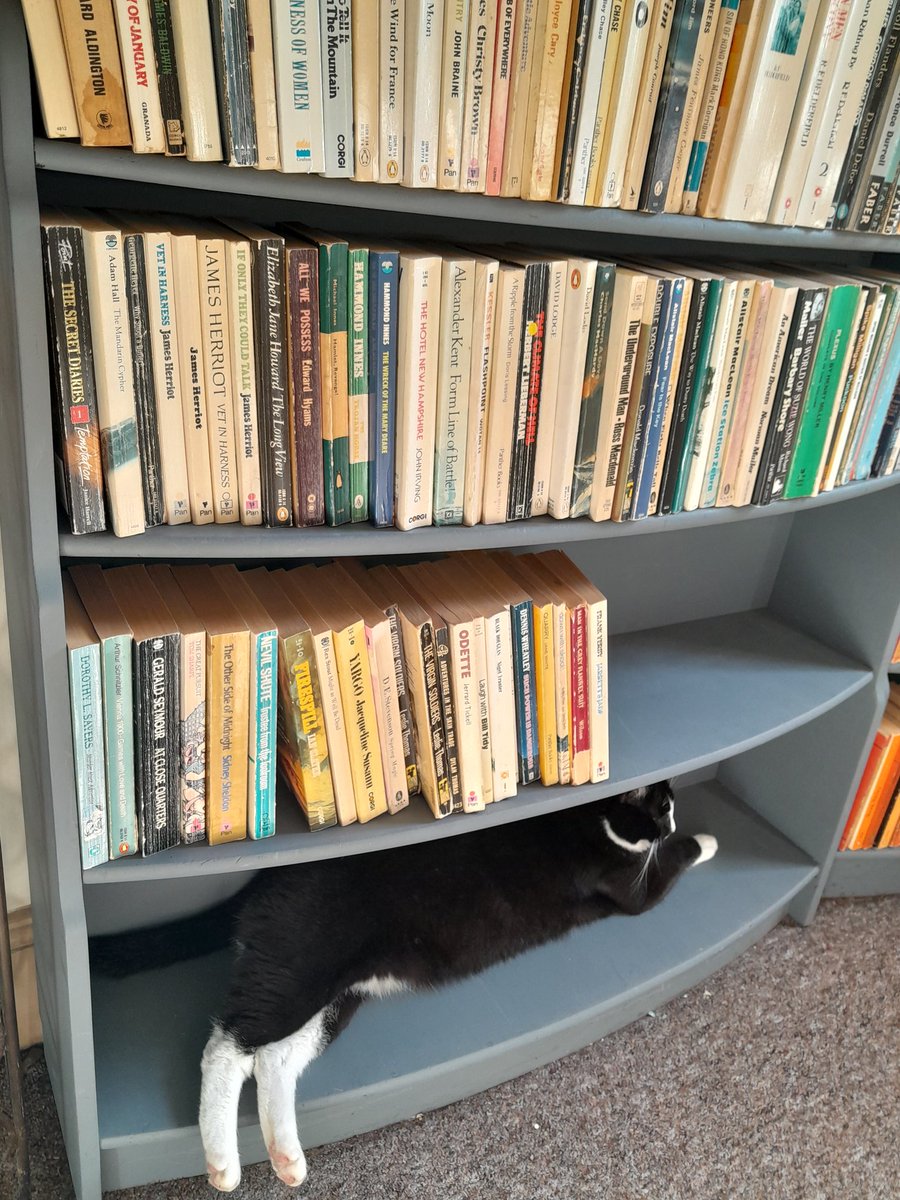 OldCuriosityBookshop tweet media
