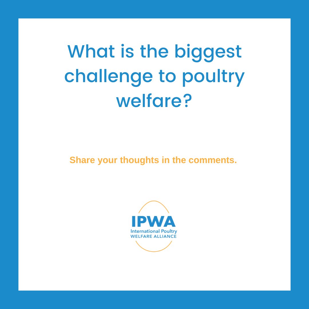 International Poultry Welfare Alliance (IPWA) tweet media