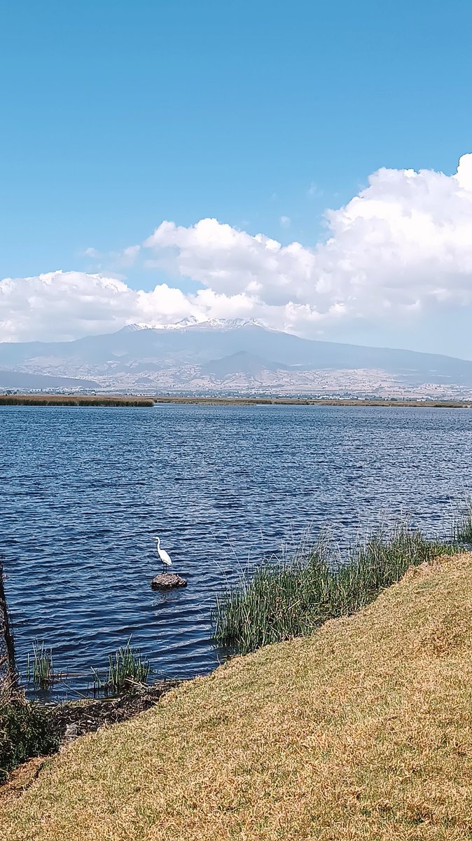 Mike_BarRexLM's tweet photo. @SkyAlertMx Xinantécatl, o Nevado de Toluca. https://t.co/pAd5T1Z5wy