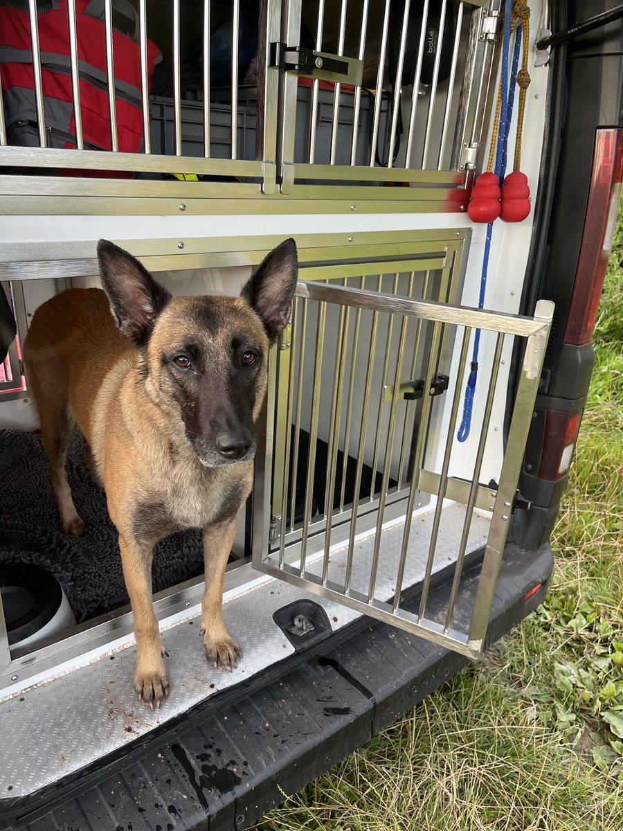 Radar after taking part in a great exercise that  Leintwardine station arranged, she found to casualties in the water during a river bank search, she is definitely back to 95% fitness after injury