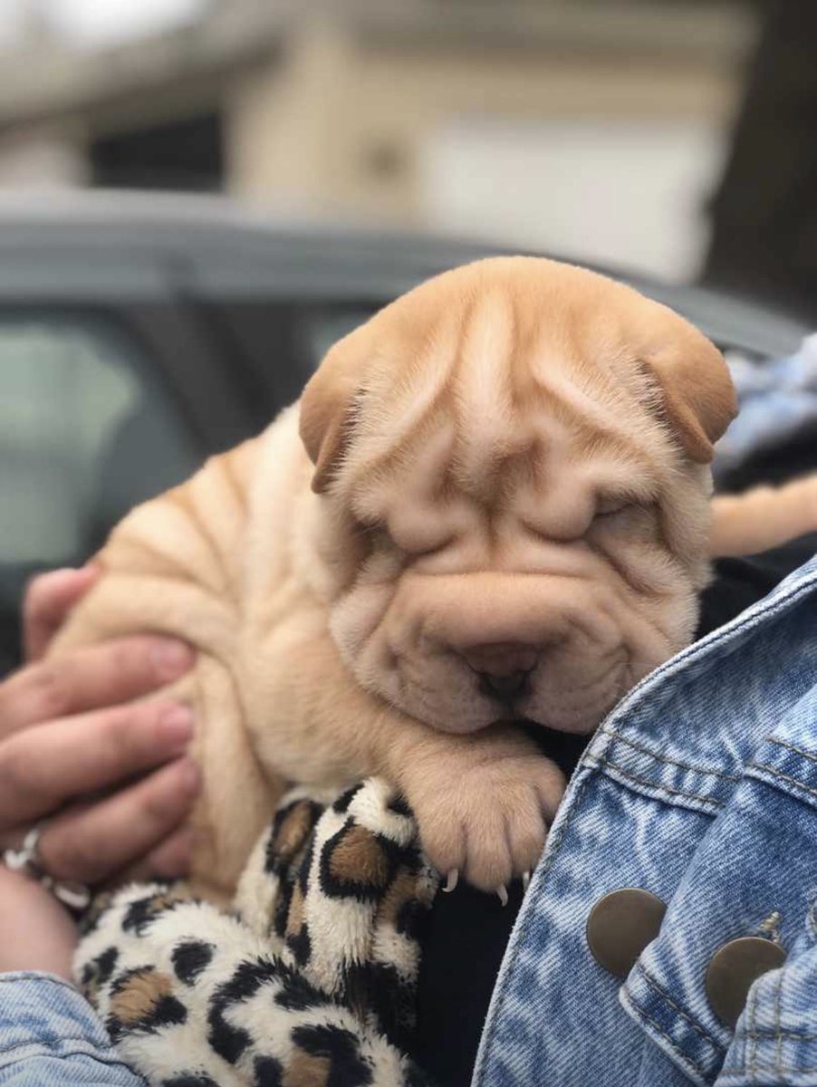😍
