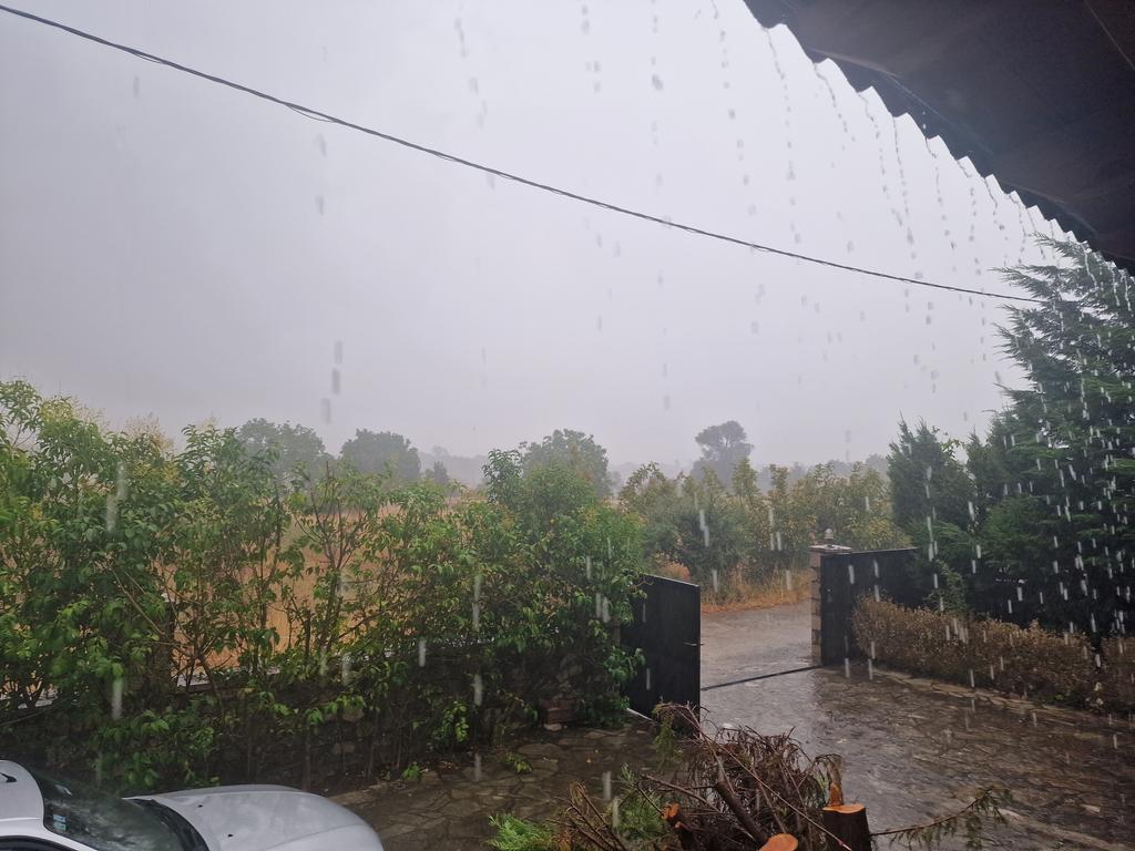 elen040774's tweet photo. Is this summer? https://t.co/CnpTfn7qfD