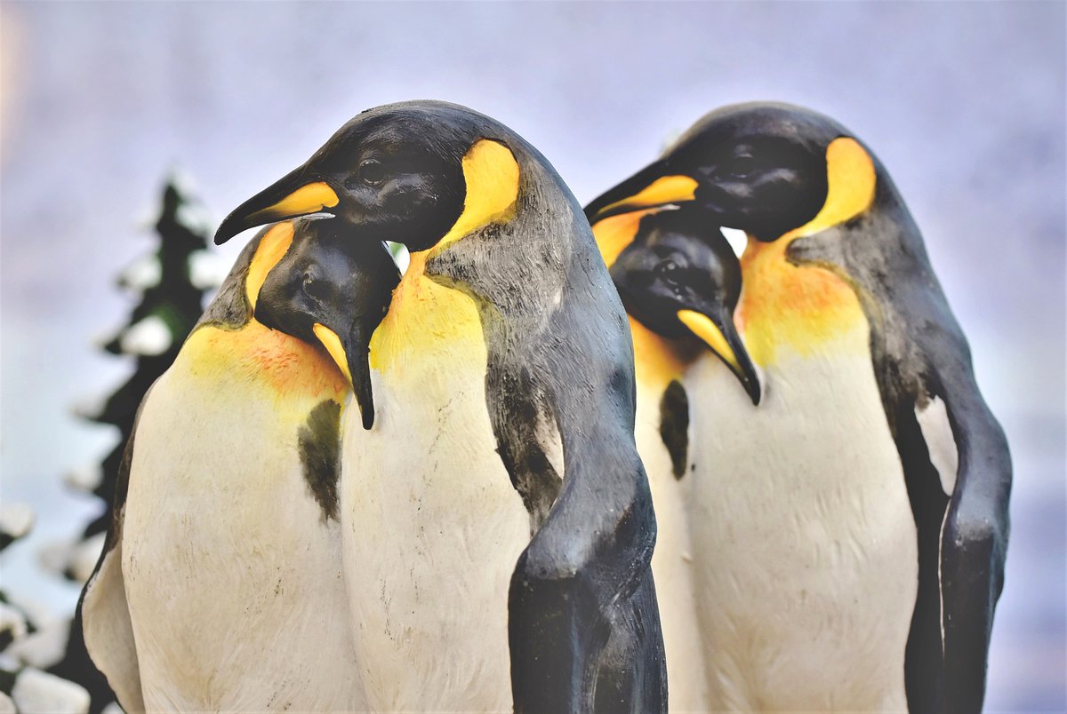 ABIONTECHNOLOGY's tweet photo. Musings on Desktop Linux, something I use everyday and have no complaints about https://t.co/2PnYdoDbtA https://t.co/MaylBT6f1D