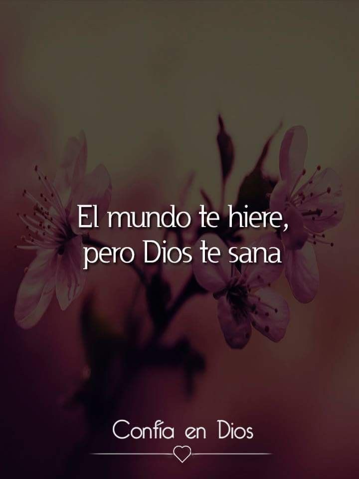 LydiaPrez14's tweet photo. Amén ❤️ https://t.co/vsD2etT4K2