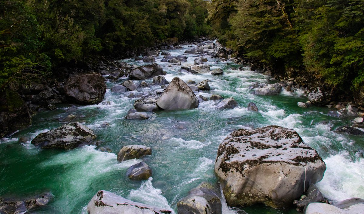 hirakdoshi tweet media