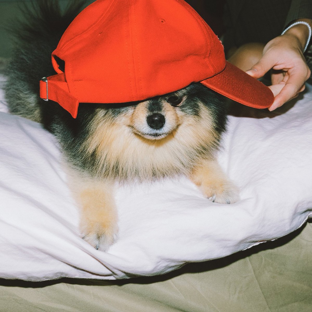 Yeontan cult!!!!!
//Looking for interactive armys let's follow eachother 🤜🏻🤛🏻//
Like /Rt ☑️
I will fb✨️
No solos/shippers ❌️