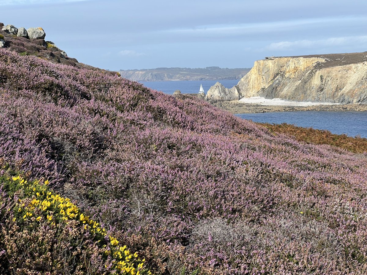 beuzec's tweet image. Les lumières du jour à #Crozon 2/.
